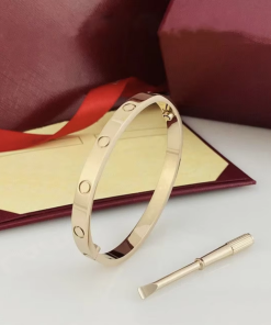 سوار الحب الأيقوني: قطعة فنية تُغلق بمفتاح، تُعبّر عن الالتزام والحب الأبدي