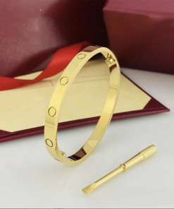 سوار الحب الأيقوني: قطعة فنية تُغلق بمفتاح، تُعبّر عن الالتزام والحب الأبدي